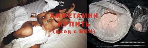 ГАЛЛЮЦИНОГЕННЫЕ ГРИБЫ Ельня