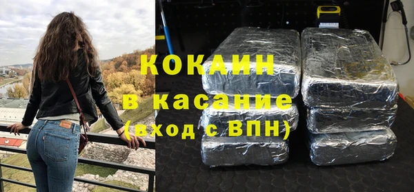 ГАЛЛЮЦИНОГЕННЫЕ ГРИБЫ Ельня