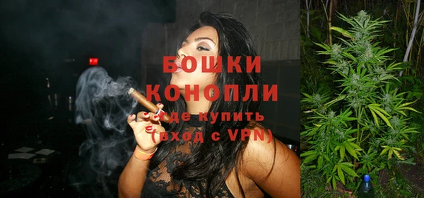 ГАЛЛЮЦИНОГЕННЫЕ ГРИБЫ Ельня