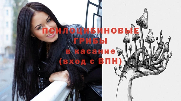 прущие крисы Дмитровск
