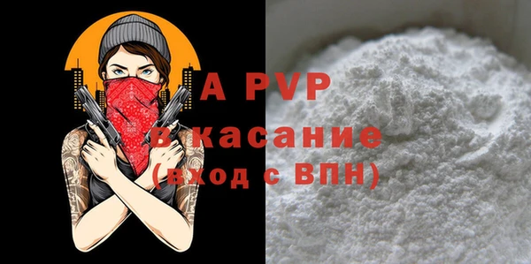 стаф Елабуга