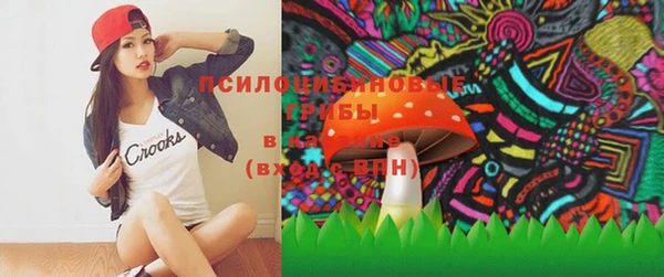тгк Дмитров
