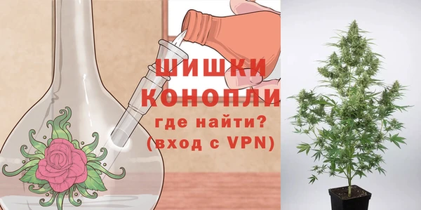 тгк Дмитров
