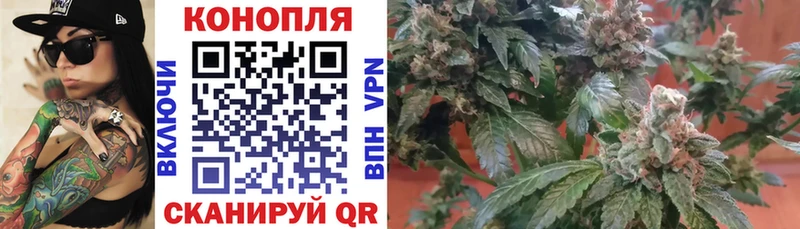 Бошки Шишки ГИДРОПОН  Купить где  Ардон 